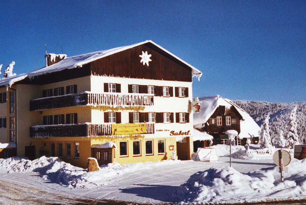 Hotel Gaberlhaus à Salla Extérieur photo